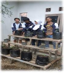 images_095